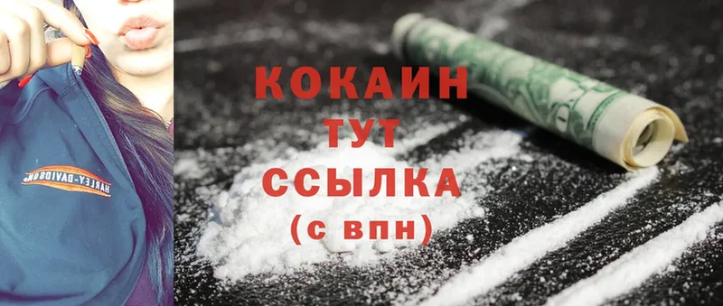 Cocaine Перу  mega tor  Злынка 