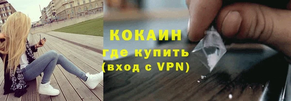 прущие грибы Бердск
