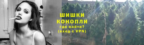 спиды Михайлов