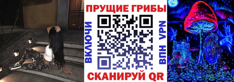 где продают наркотики  Злынка  Псилоцибиновые грибы мухоморы 